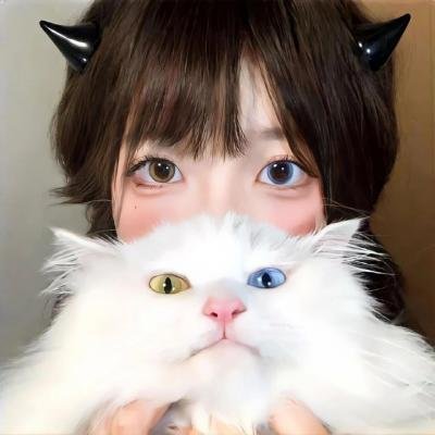动画综艺
